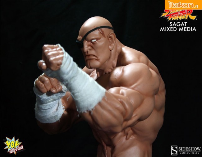 Pop Culture Shock: Street Fighter: Sagat 1:4 Mixed Media Statue- In Preordine