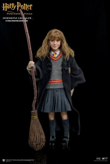 HARRY POTTER PENNA HERMIONE GRANGER SU SCOPA